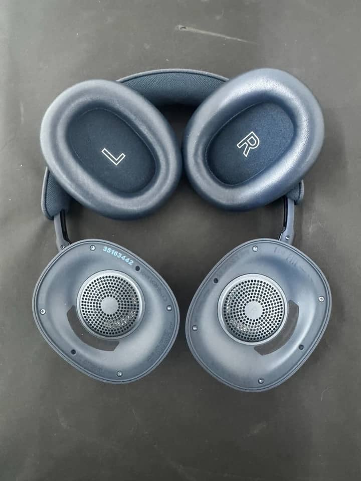 Bang & Olufsen Beoplay H95 Headphones & Earbuds 