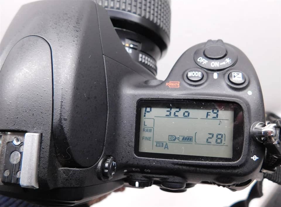Nikon D700 Digital Cameras Black New Body Only