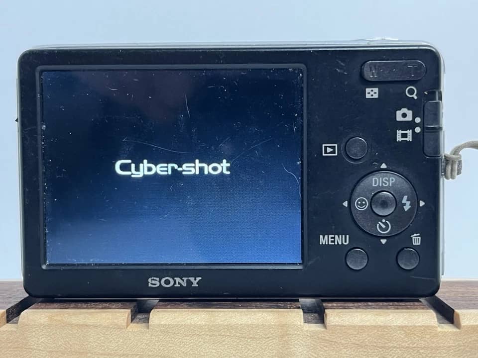 Sony Cyber-shot DSC-W310 Digital Cameras Silver New Body Only