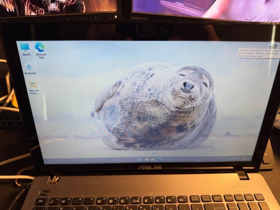 ASUS Vivobook X550C Computers