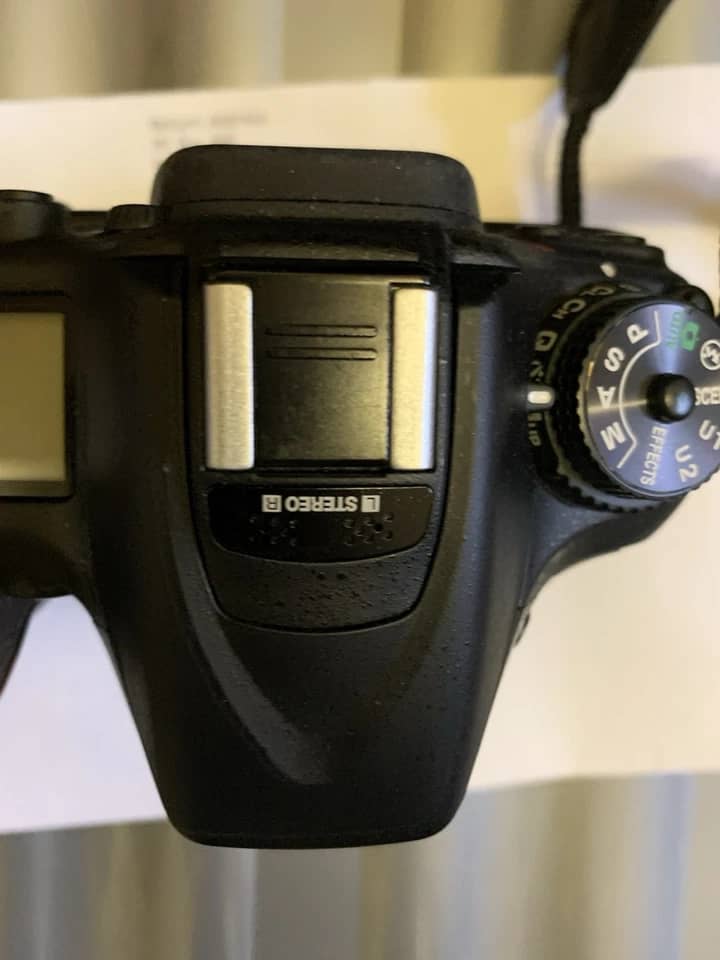 Nikon D7100 Digital Cameras