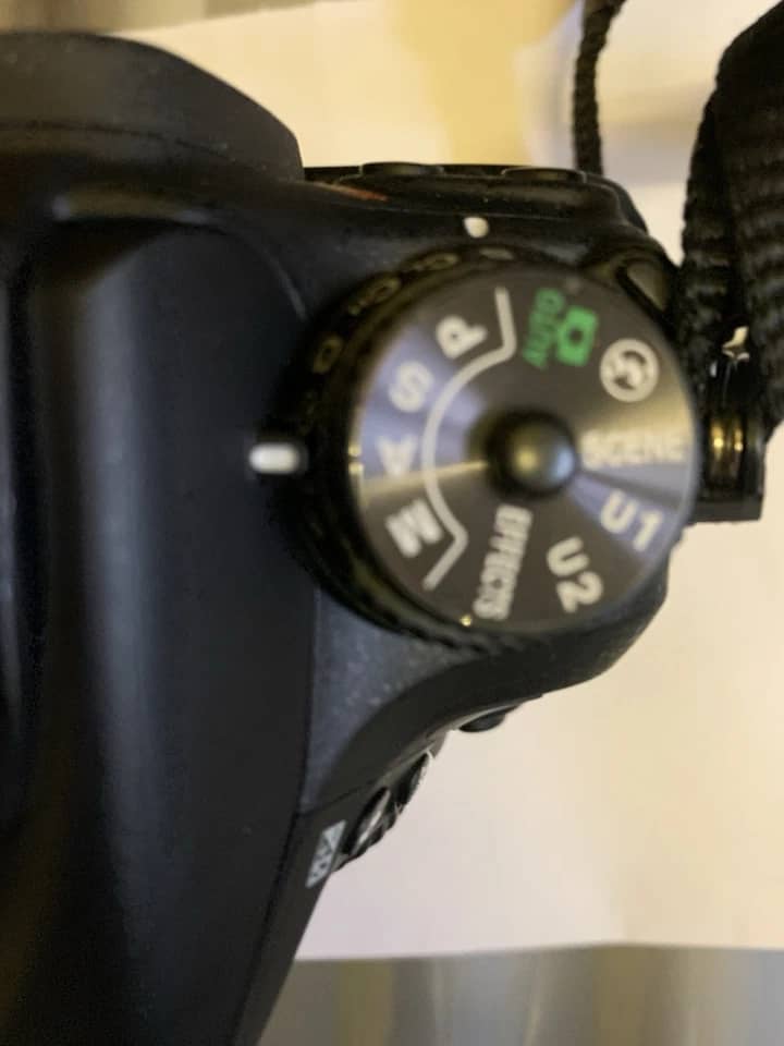 Nikon D7100 Digital Cameras