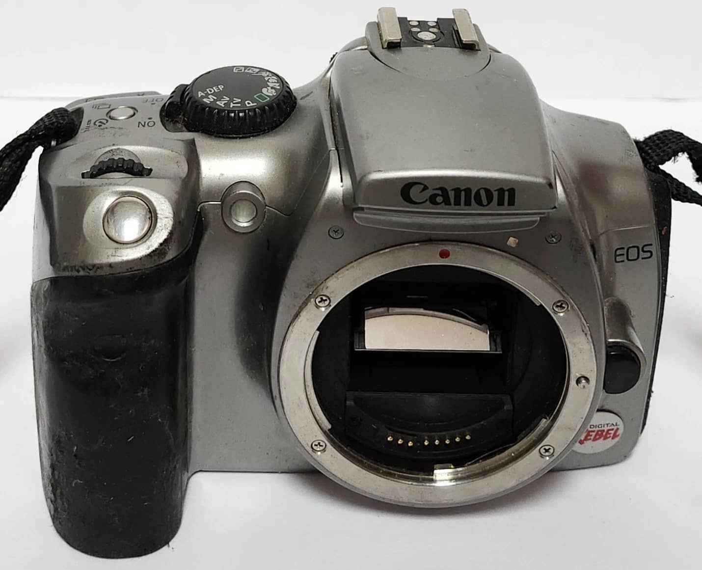 Canon EOS Digital Rebel DS6041 Digital Cameras Silver New Body Only