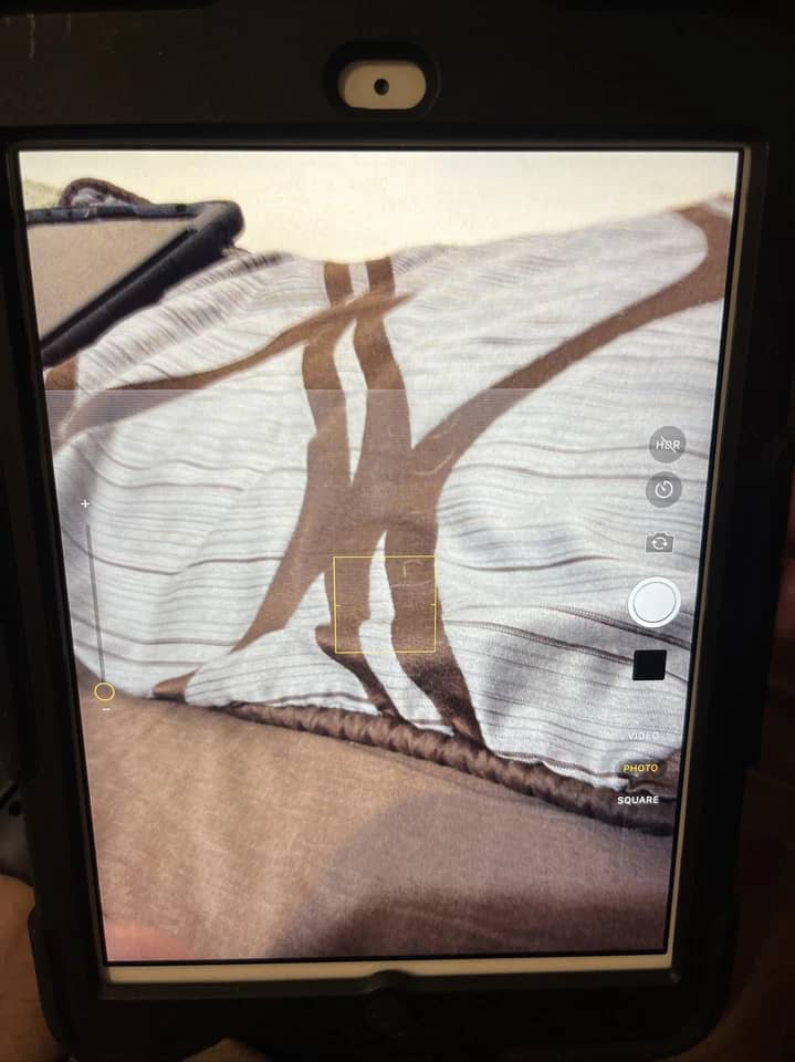 Apple iPad Mini 3 Tablets