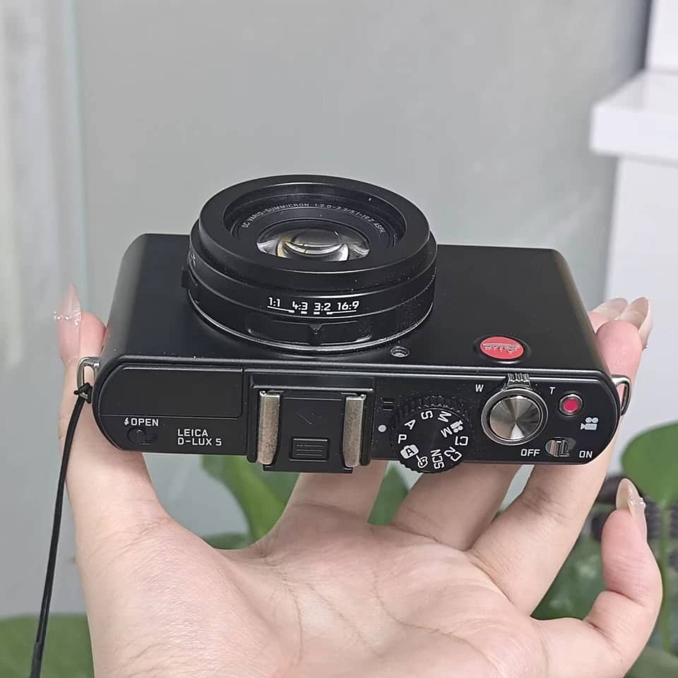 Leica D-LUX 5 Digital Cameras Black New Body Only