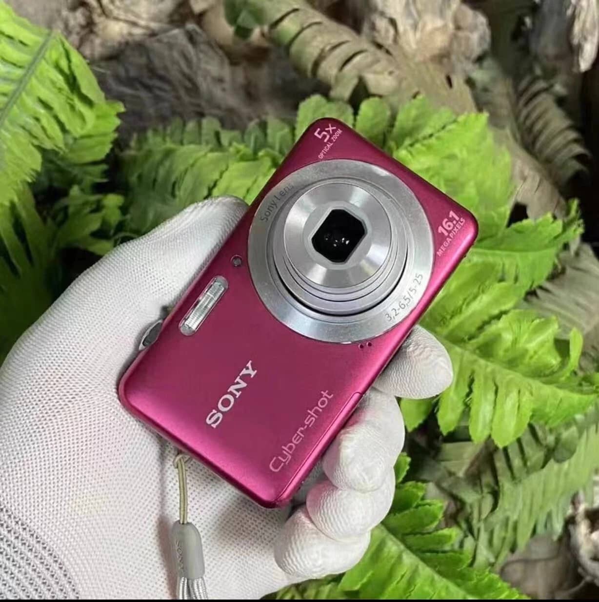 Sony Cyber-shot dsc-w710 Digital Cameras Silver New Body Only