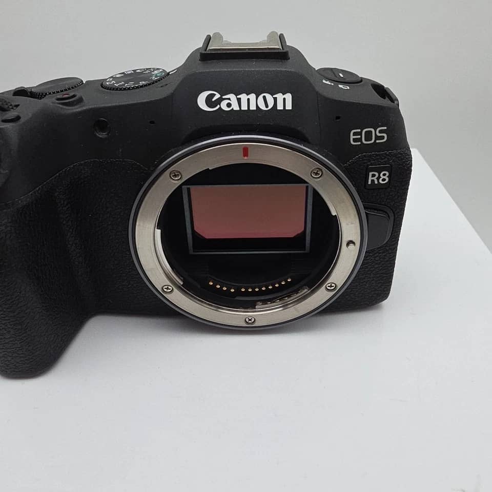 Canon EOS R8 Digital Cameras