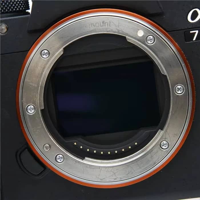 Sony Alpha 7 III Digital Cameras
