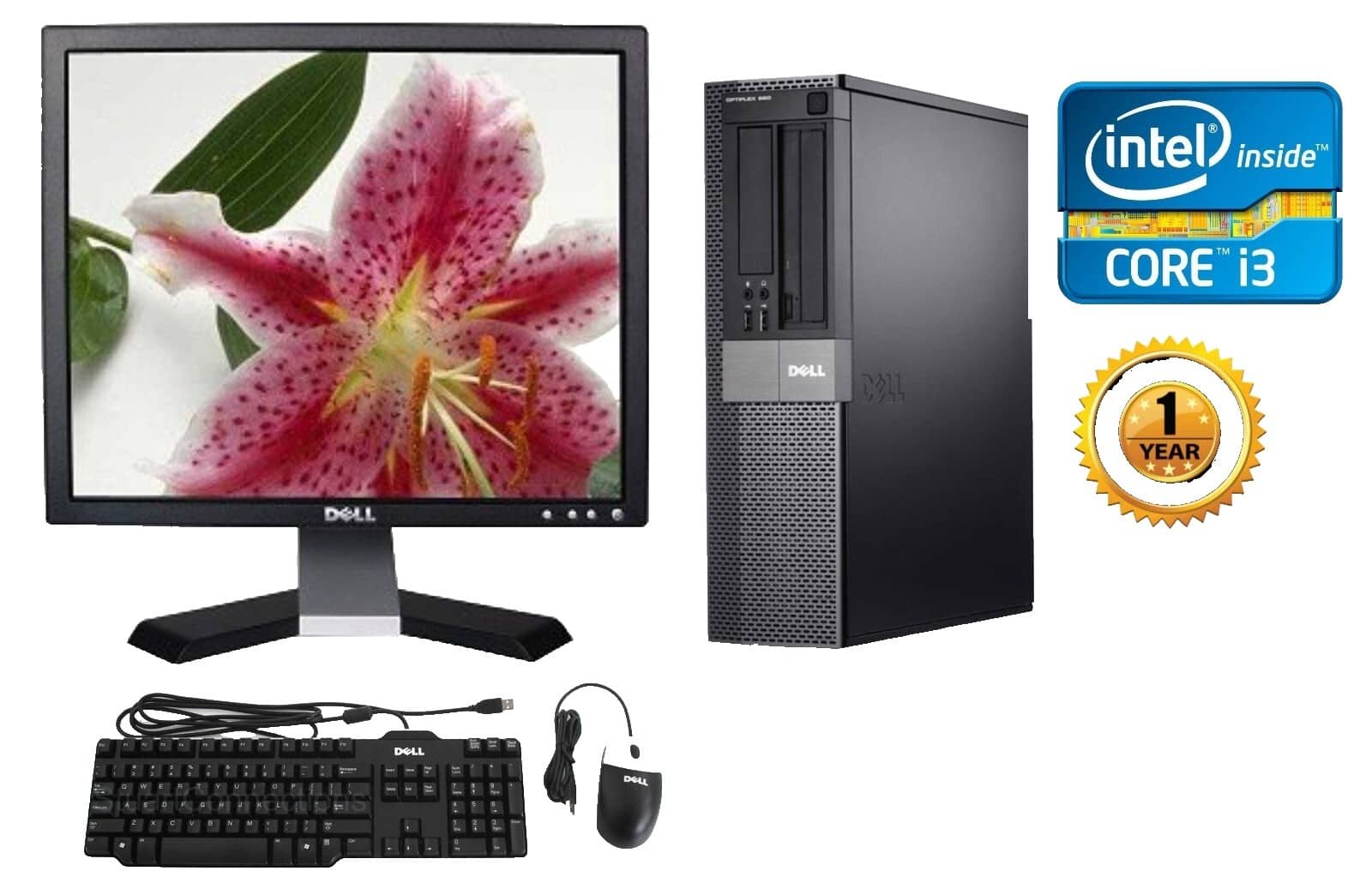 Dell OptiPlex 7010 MFF Computers 256GB 16GB New