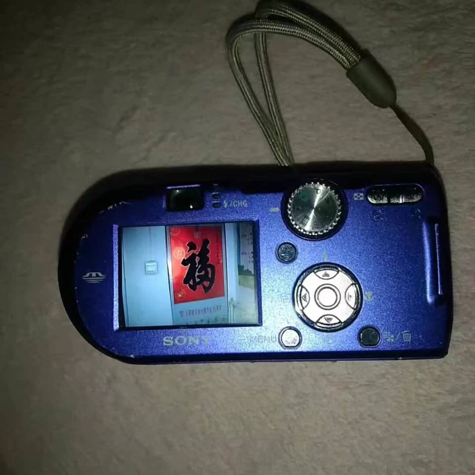 Sony Cyber-shot DSC-P100 Digital Cameras Silver New Body Only