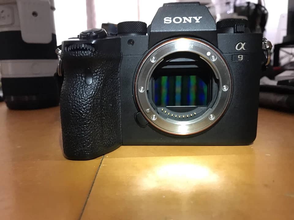 Sony Alpha a9 II Digital Cameras Black New