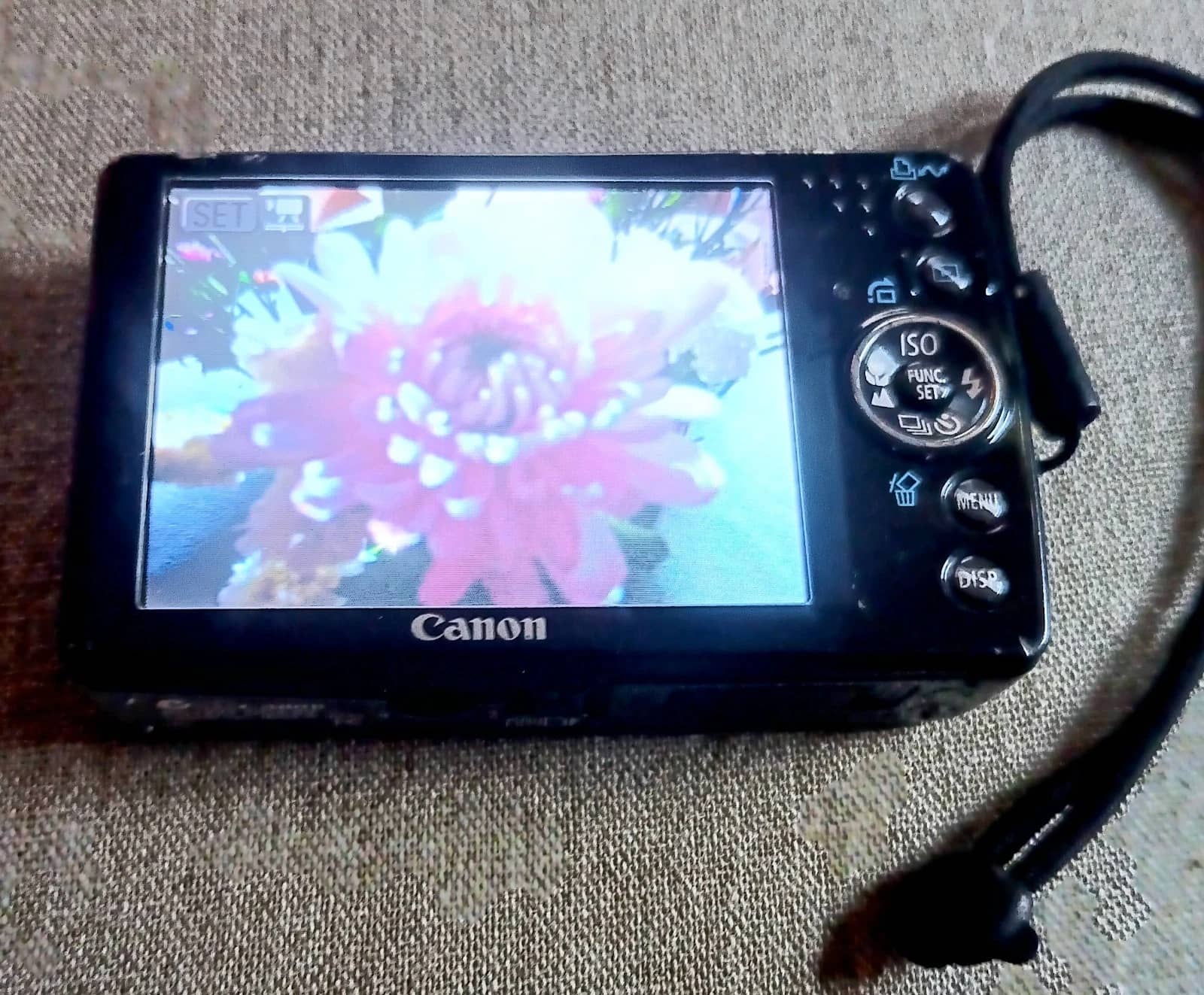 Canon PowerShot SD750 Digital Cameras Silver New Body Only