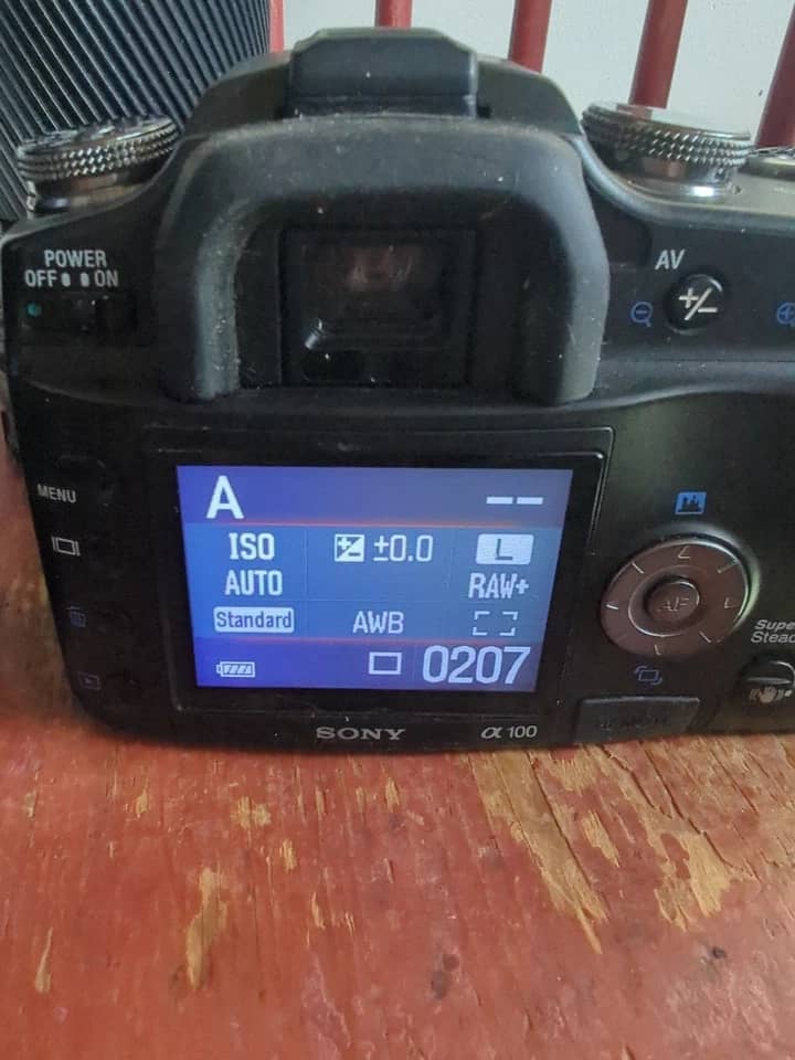 Sony Alpha 100 Digital Cameras Black New Body Only