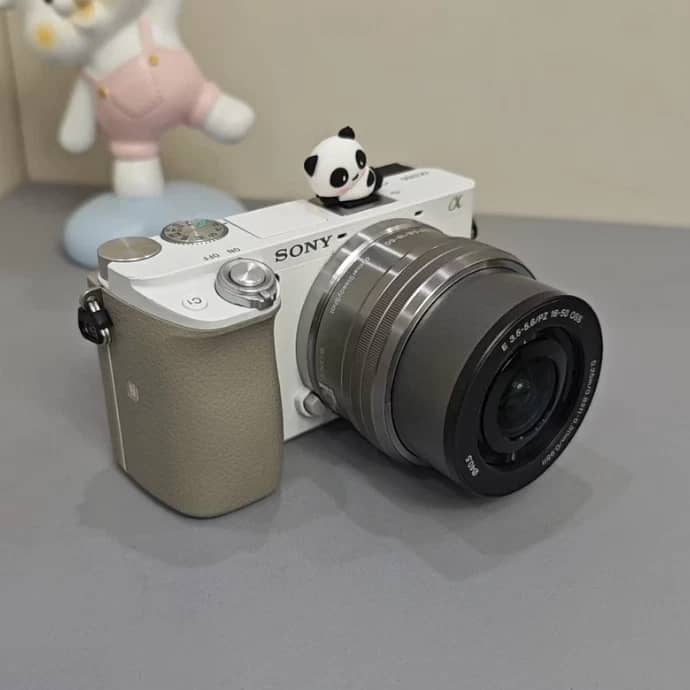 Sony Alpha 6100 Digital Cameras