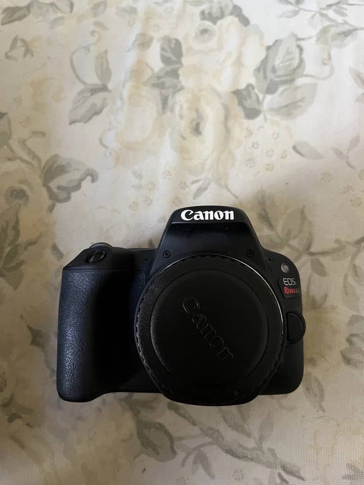 Canon SL2 Digital Cameras