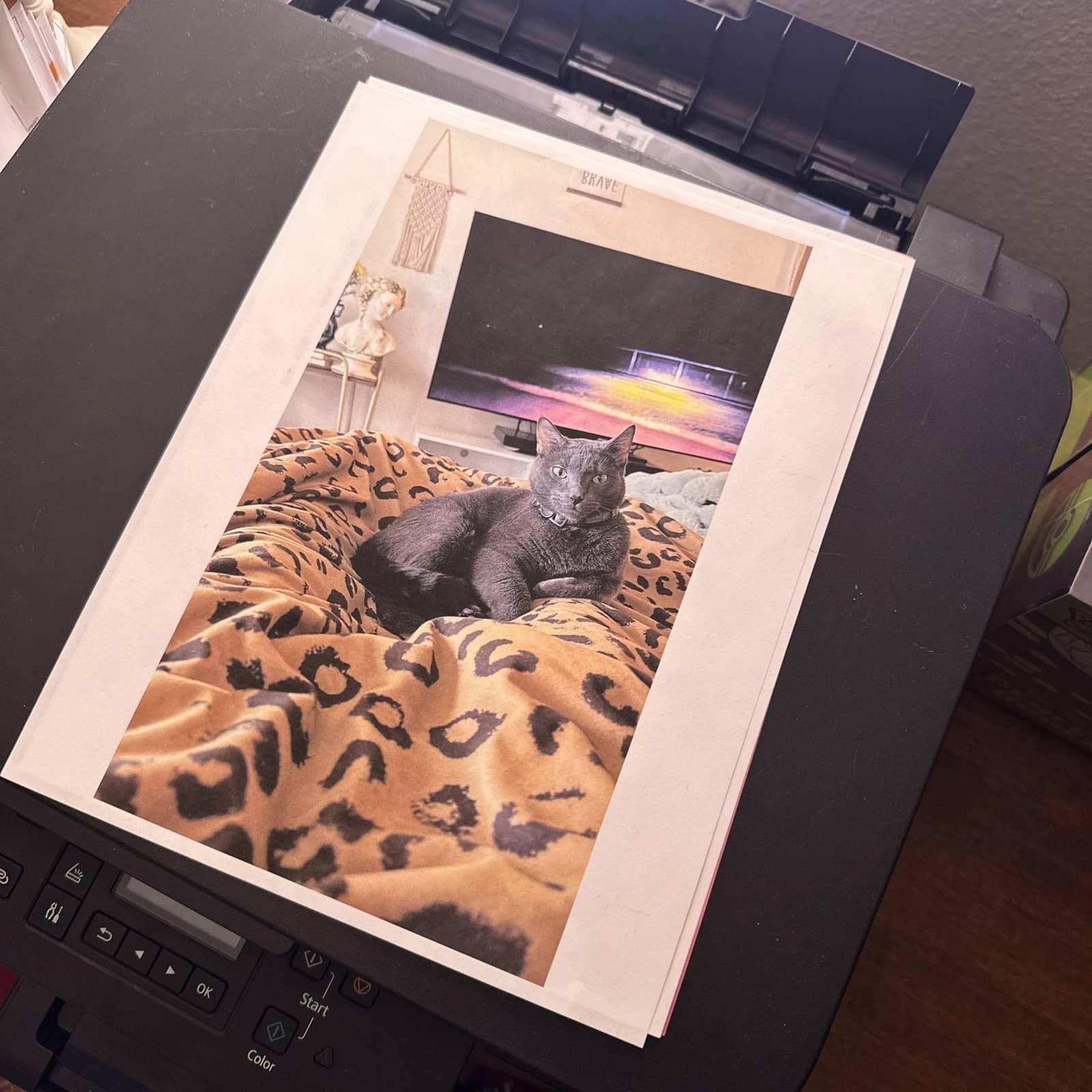Canon G6020 Printers Used - Good