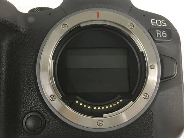 Canon EOS R6 Digital Cameras