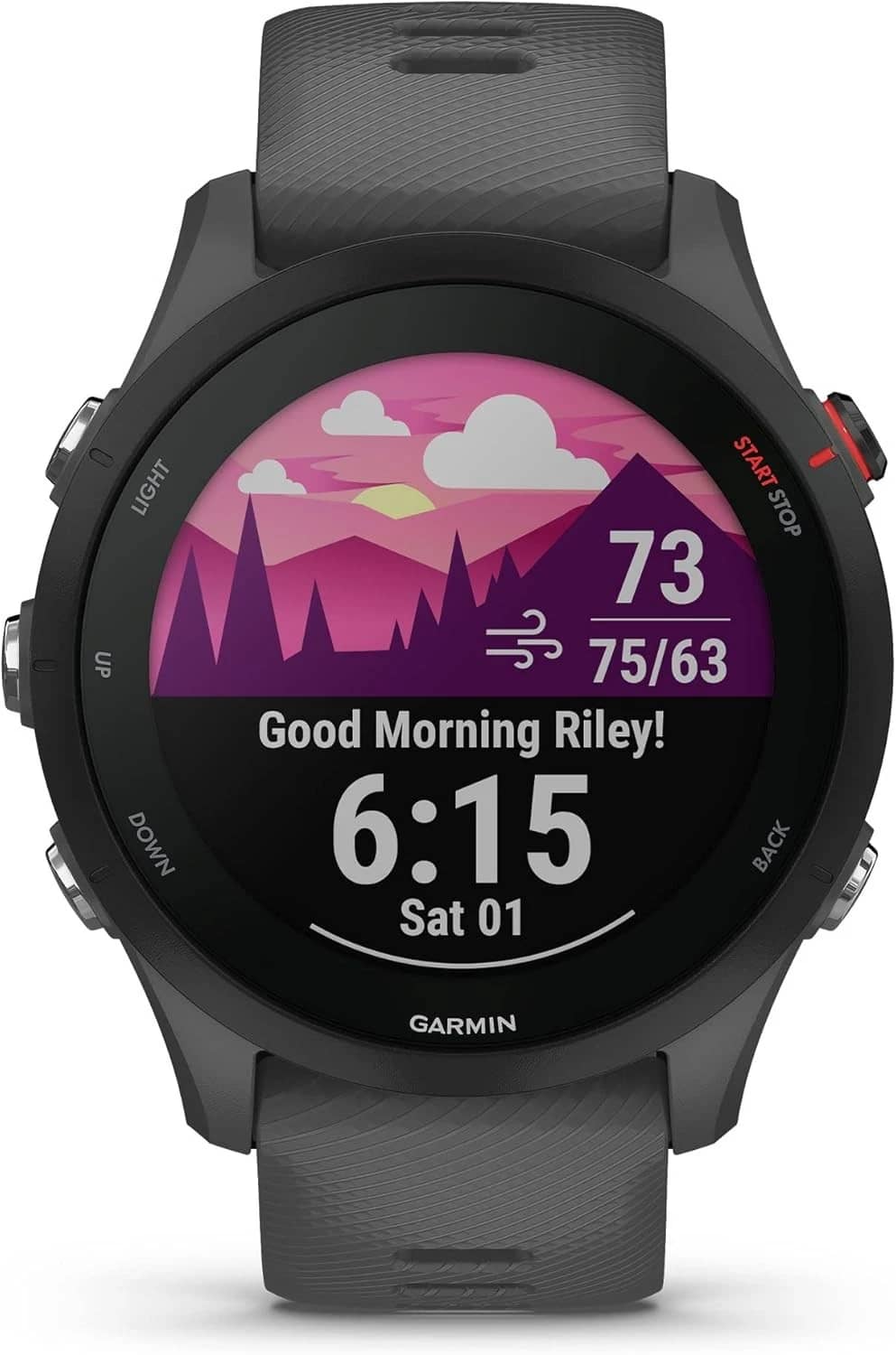 Garmin Forerunner 255 Smartwatches Blue 46mm New