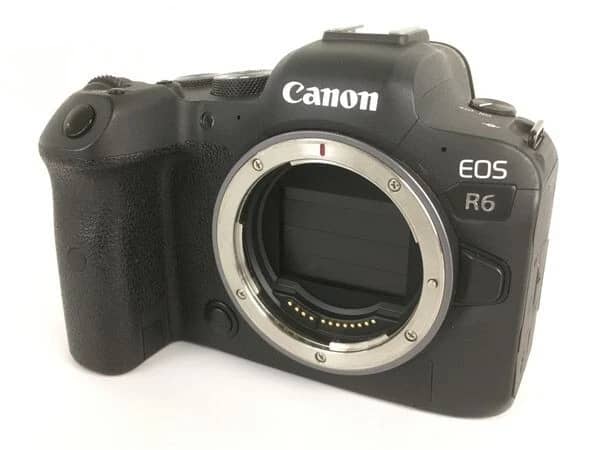 Canon EOS R6 Digital Cameras