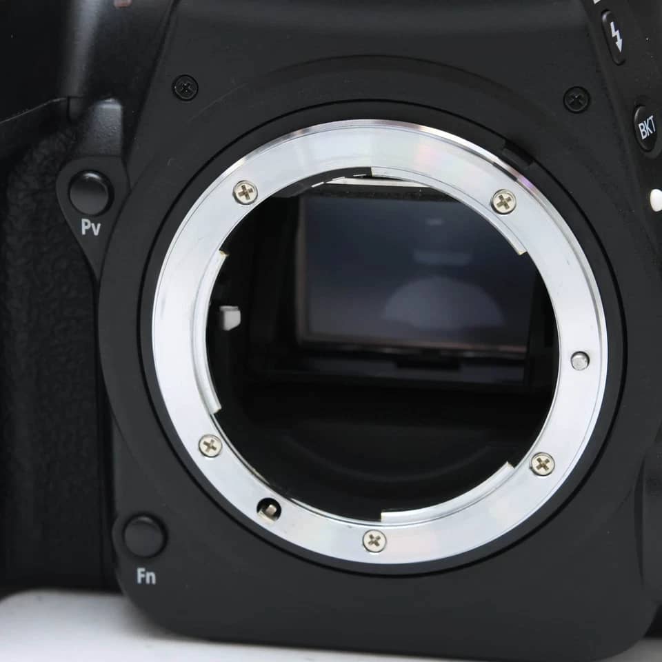 Nikon D780 Digital Cameras