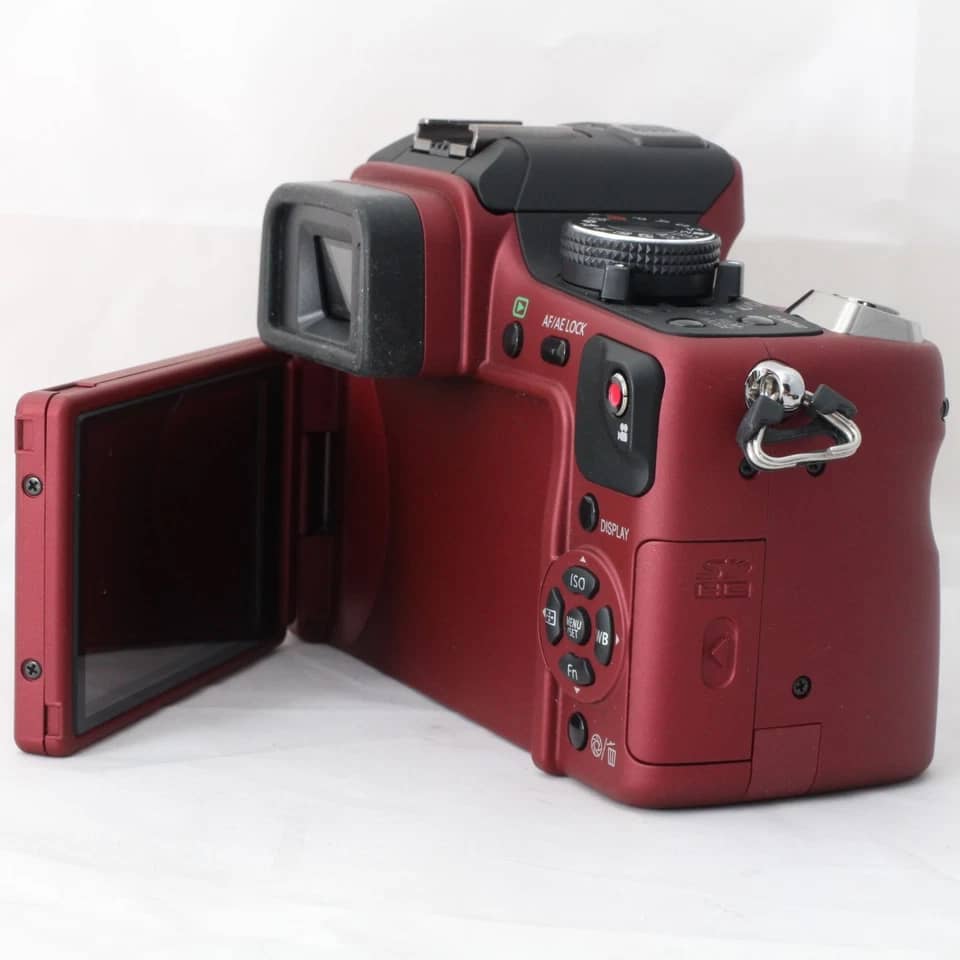 Panasonic LUMIX GH1 Digital Cameras Black New Body Only