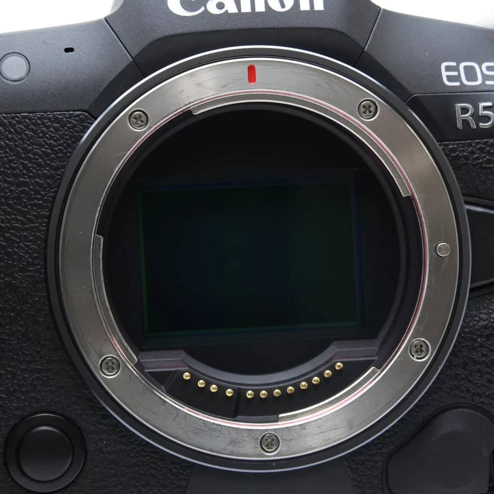 Canon EOS R5 Digital Cameras