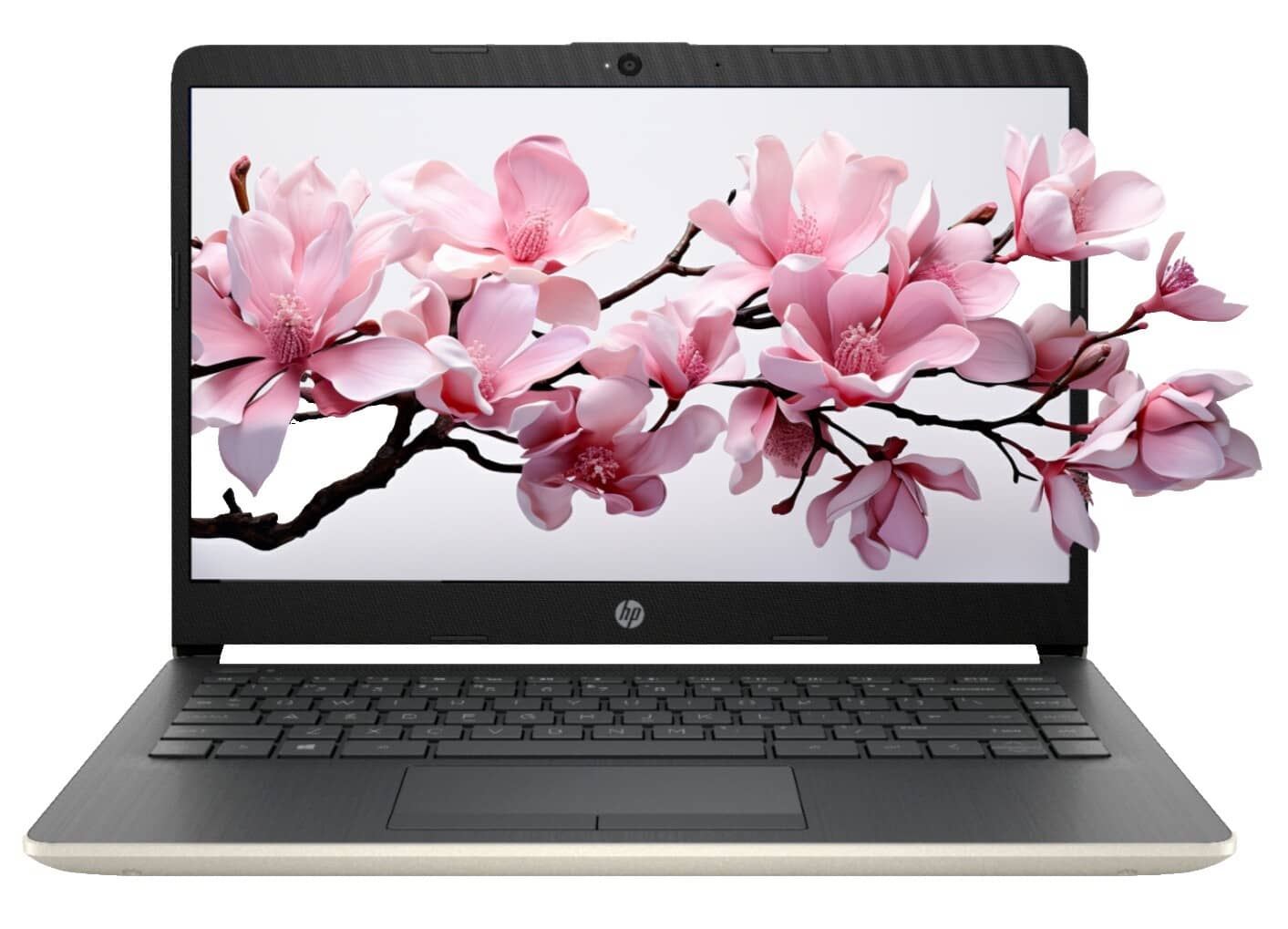 HP Laptop 15.6 Computers New