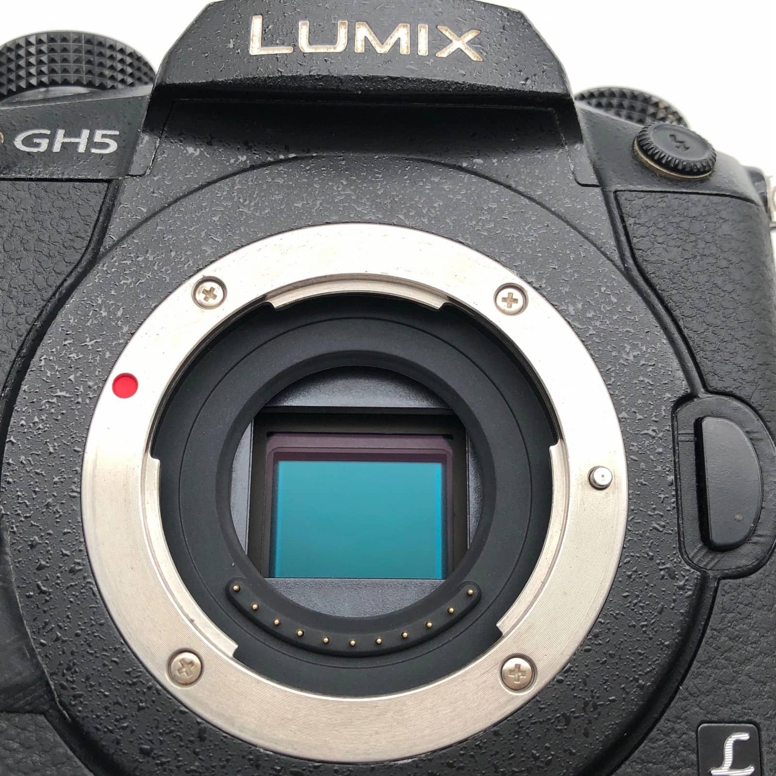 Panasonic LUMIX GH5 Digital Cameras Black New w/ 12-60mm Kit
