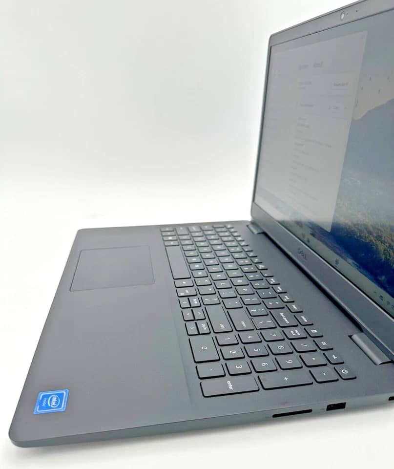 Dell Inspiron 3502 Computers