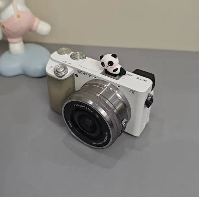 Sony Alpha 6100 Digital Cameras