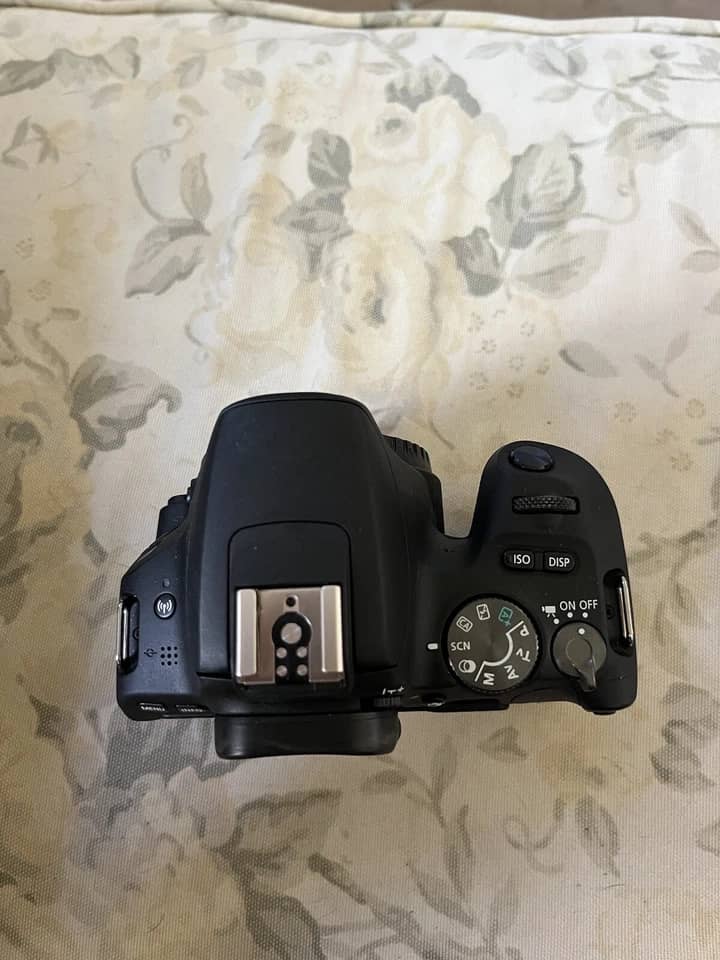 Canon SL2 Digital Cameras