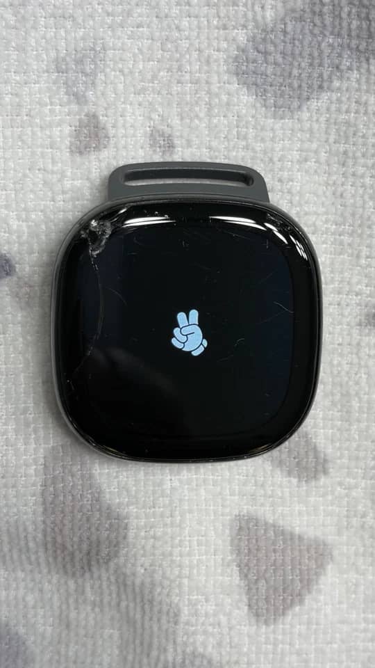 Fitbit Fitbit Ace LTE Smartwatches
