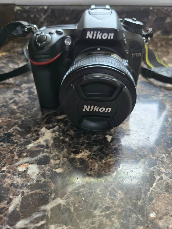Nikon D7100 Digital Cameras