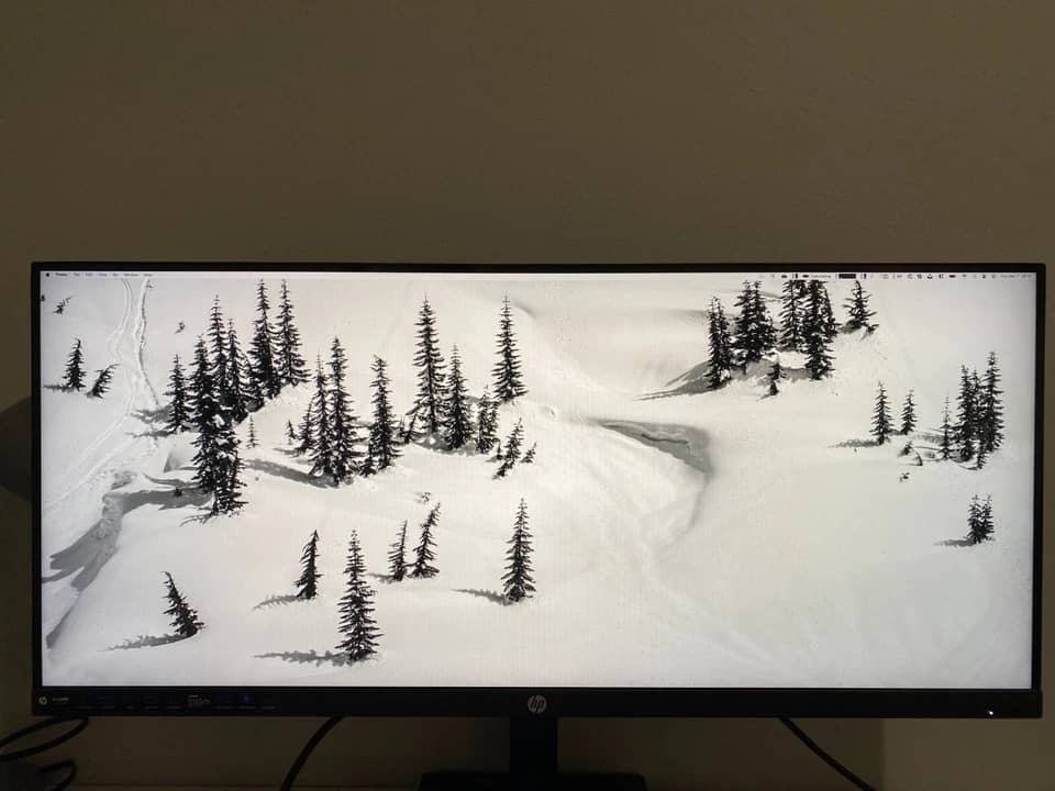 HP X34 Monitors