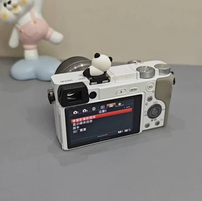 Sony Alpha 6100 Digital Cameras