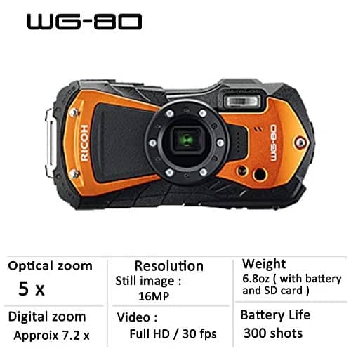 Ricoh WG-80 Digital Cameras