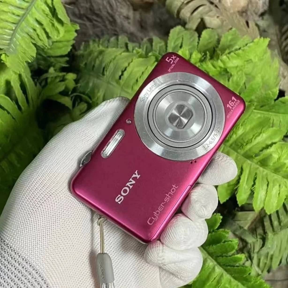 Sony Cyber-shot dsc-w710 Digital Cameras Silver New Body Only