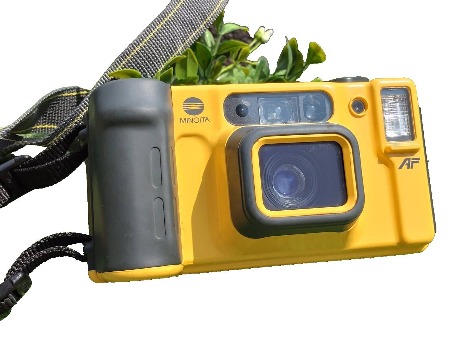 Minolta MN40WP Digital Cameras Blue New Body Only