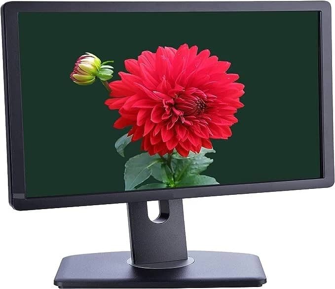 Dell P1913 Monitors