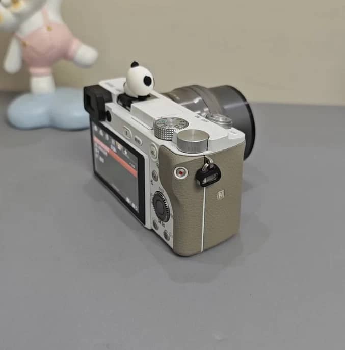 Sony Alpha 6100 Digital Cameras