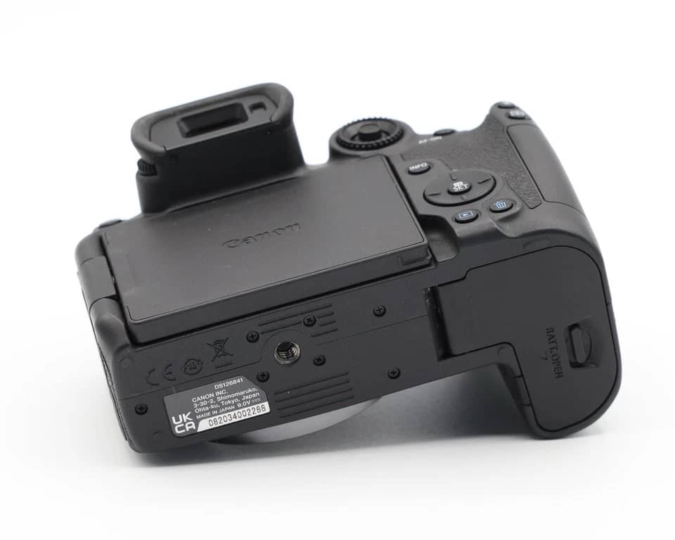 Canon EOS R7 Digital Cameras