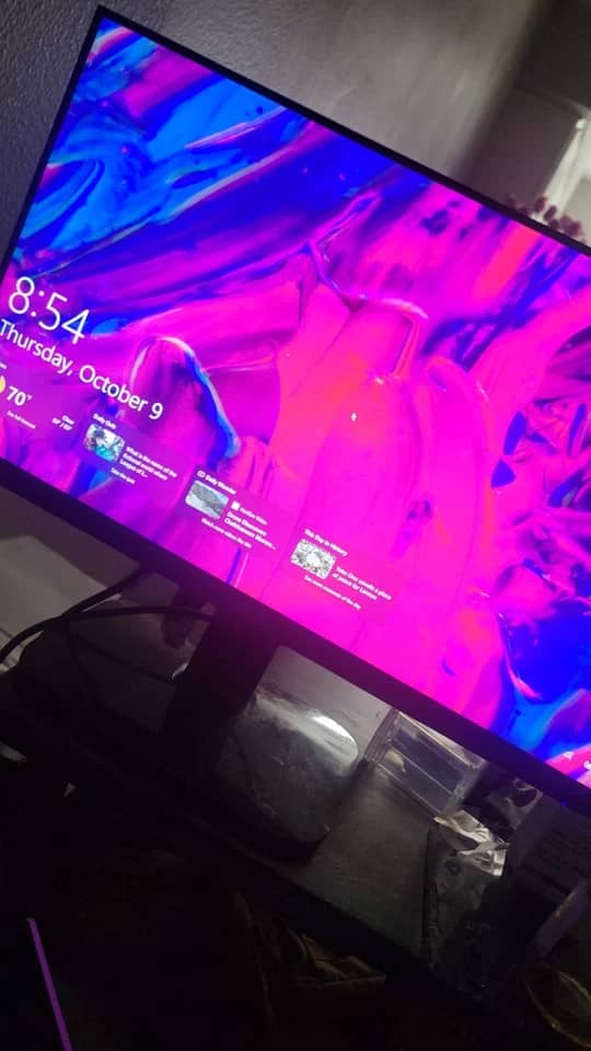 ASUS 24i Monitors