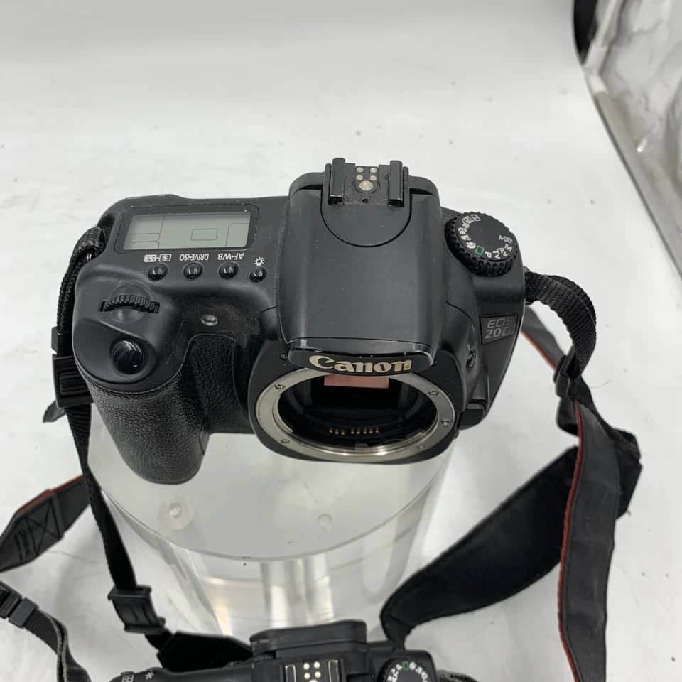 Canon EOS 20D Digital Cameras Black New Body Only