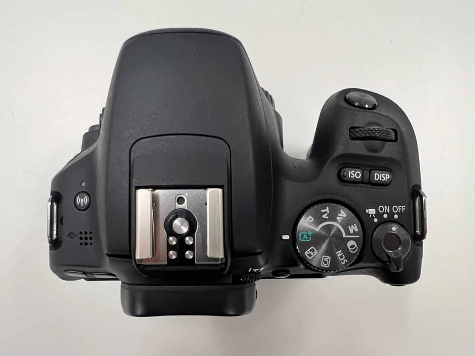 Canon EOS Rebel SL2 Digital Cameras