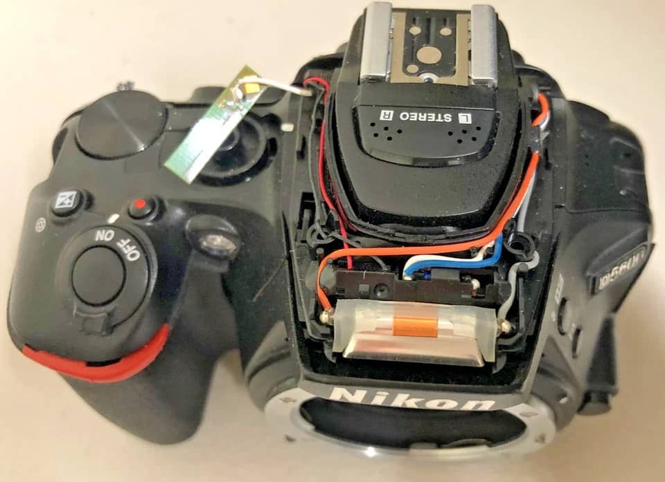 Nikon D5600 Digital Cameras