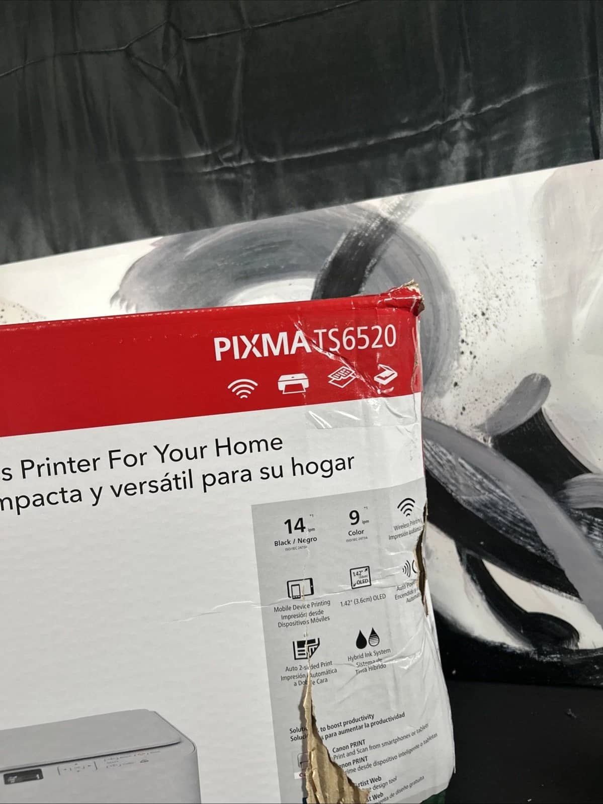 Canon PIXMA TS6520 Printers New