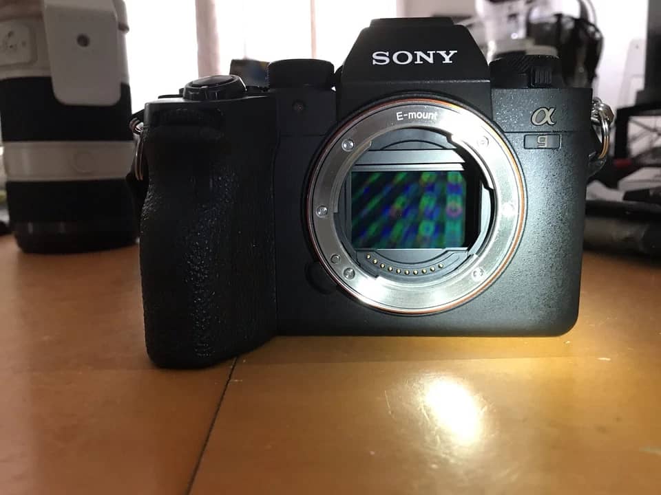 Sony Alpha a9 II Digital Cameras Black New