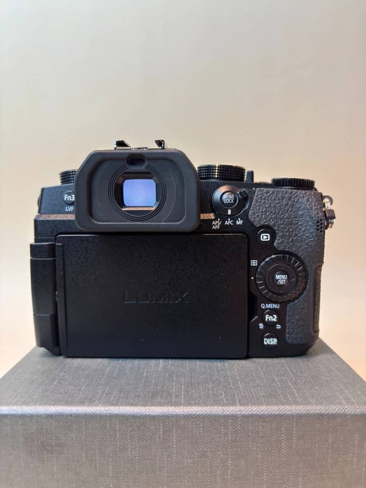 Panasonic LUMIX G95 Digital Cameras