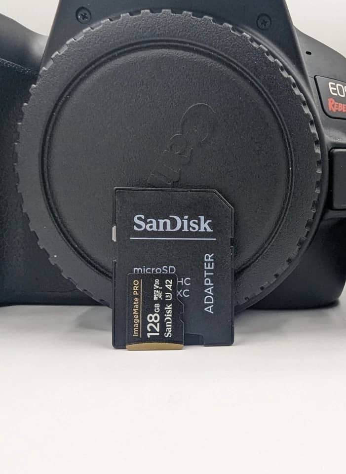 Canon EOS Rebel SL3 Digital Cameras