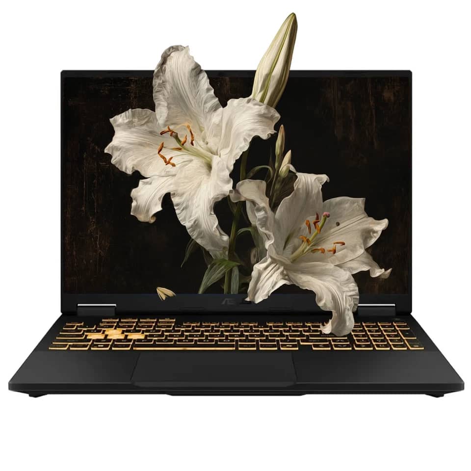 ASUS TUF FX608JMR Computers
